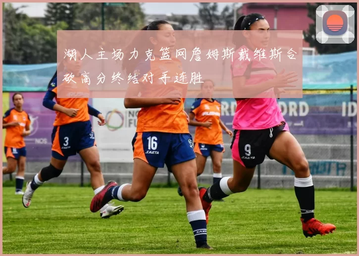 湖人主场力克篮网詹姆斯戴维斯合砍高分终结对手连胜