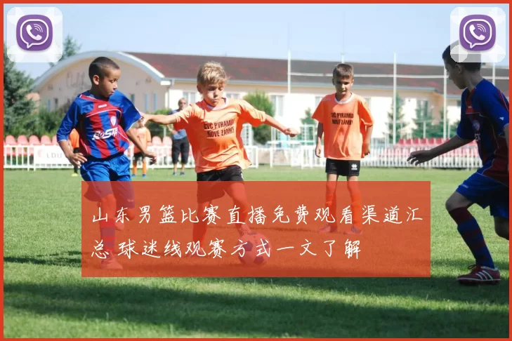 山东男篮比赛直播免费观看渠道汇总 球迷线观赛方式一文了解