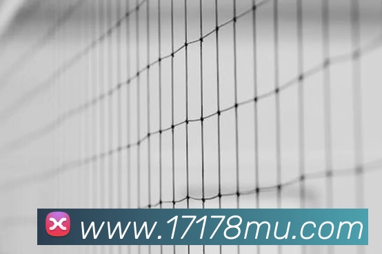 开云app官方版web站入口 - 开云online(中国)发展历程